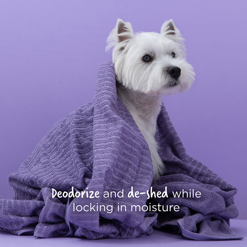 CHI Vibes For Dogs 5 in 1 Shampoo and Conditioner, , large image number null